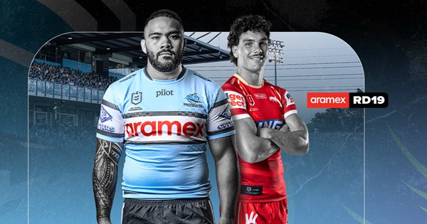 Sharks Seek Spark as Dolphins Dive Deep