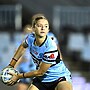 HNWP Sharks start strong with win over Eels