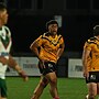 Feeder Report: Round 15