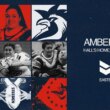 Standing Tall with Hall: Amber extends with Roosters