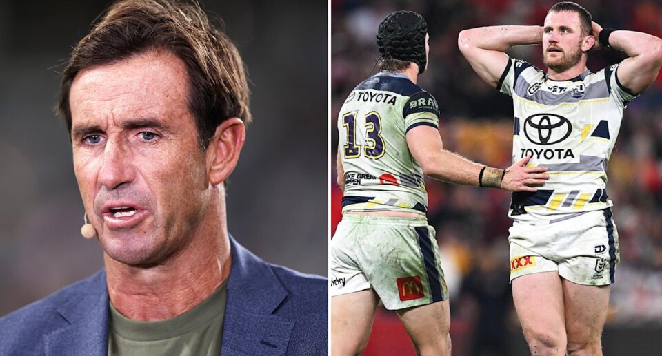 Cowboys star cops season-ending NRL ban after Andrew Johns' complaint over 'horrible' act