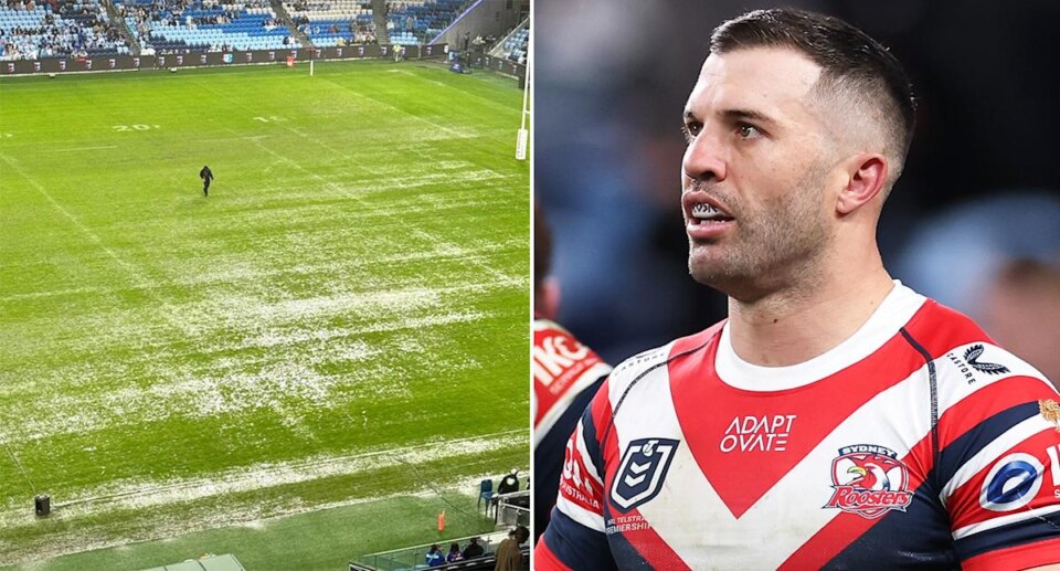Roosters Seek Action on Slippery Stadium Surface
