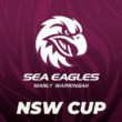 Match Report: NSW Cup Round 23 vs Knights