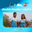 What's On: Titans celebrate Indigenous Round, Bluey and Bingo visit Cbus