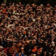 NRL Rd 25 - Wests Tigers v Cowboys