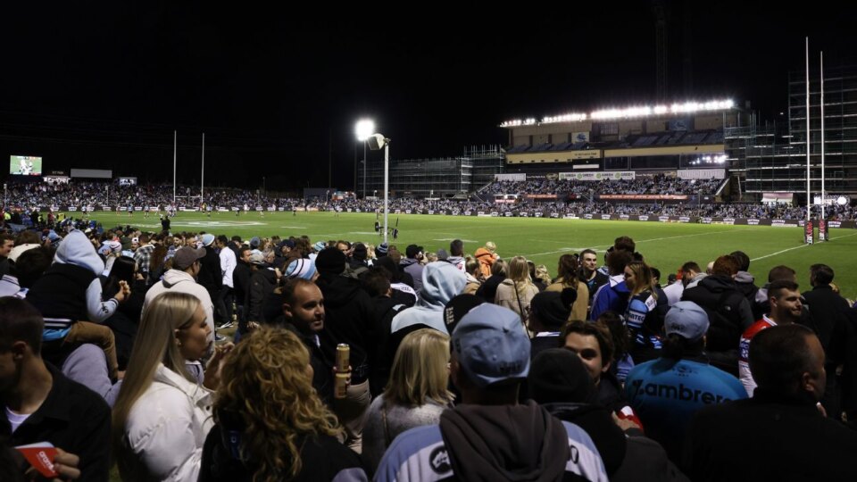 Reynolds: Sharks have to host finals at Shark Park