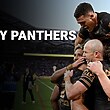 Every Penrith Panthers Try from 2025 | NRL