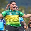 Teams to celebrate culture at Harmony 9s