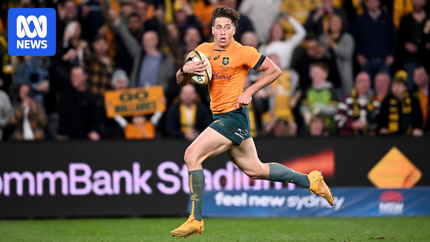 Kangaroo Nawaqanitawase will earn Wallabies recall in 2027, says Les Kiss