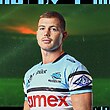International Tracker: Sharks selected for global stage