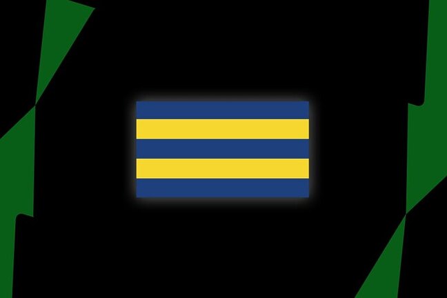 Eels Sign Rising New Zealand Cross-Code Star