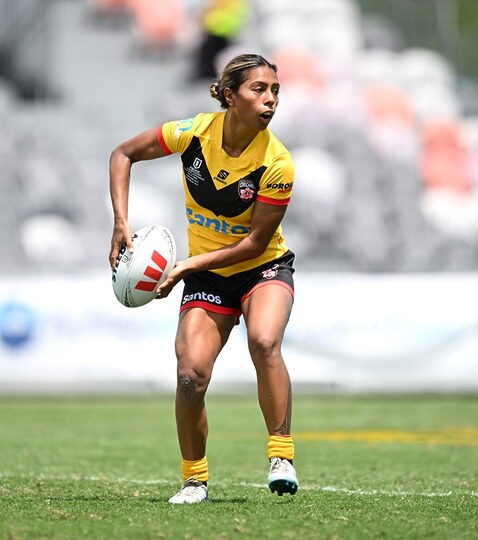 Papua New Guinea Orchids Search for RLWC26 Coach