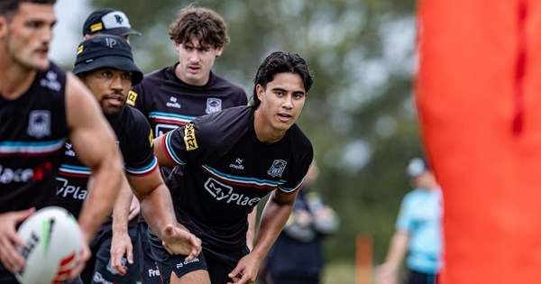 2026 Panthers Season Outlook