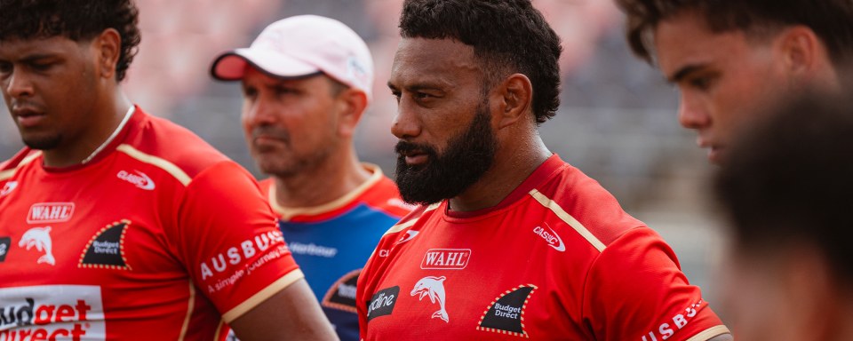 Molo Excelling with Dolphins' Success