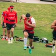 Dragons Injury Update: February