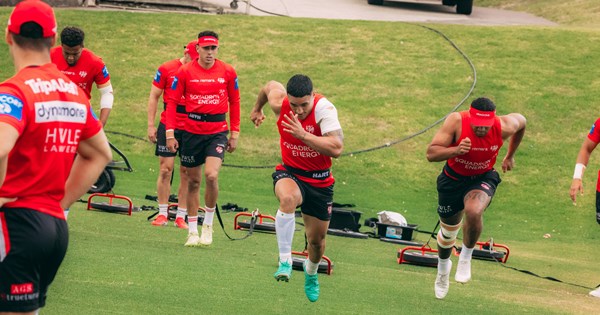 Dragons Injury Update: February