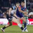 Harris-Tavita extends again to end of 2029 season