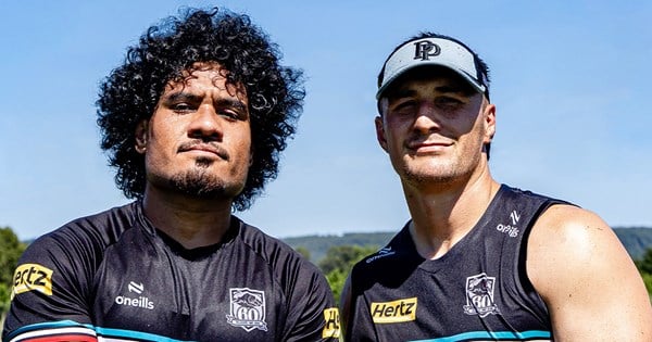 Leuluai-Going and Ale extend with Panthers